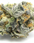 Blue Cookies - Ceas Exotics