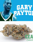Gary Payton 7G - Ceas