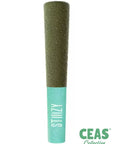 Blue Burst (5pk) Joint Multipack - STIIIZY 40’s