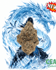 Sub Zero 7g – CEAS Exotics