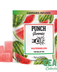 Watermelon 100MG - PUNCH GUMMIES | CEAS