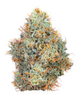 Super Dog 14G - Connected