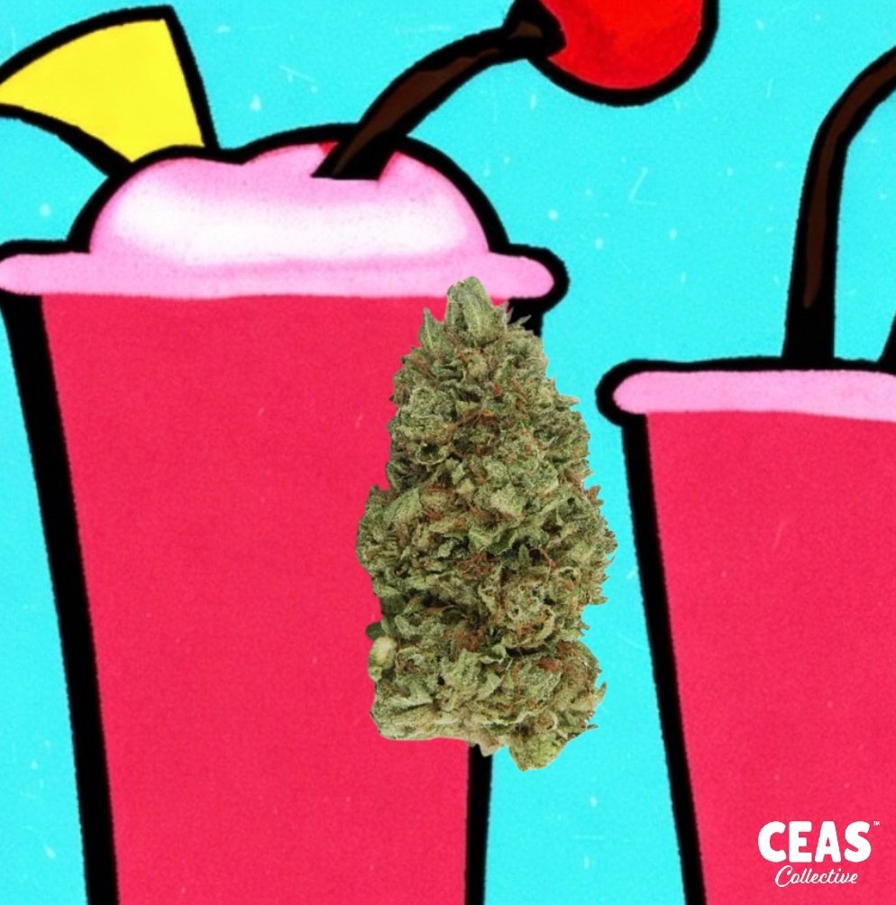 Cherry Punch Slurpee Dispensary Weed Delivered from CEAS! CEAS