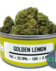 Golden Lemon - Space Monkey Meds