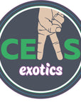 Glitter Can - CEAS Exotics