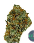 Scooby Snacks - Space Monkey Meds