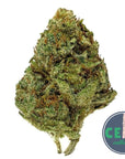 Golden Lemon - Space Monkey Meds