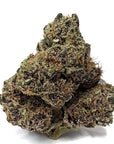 Fruit Paradise - Space Monkey Meds