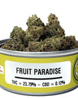 Fruit Paradise - Space Monkey Meds