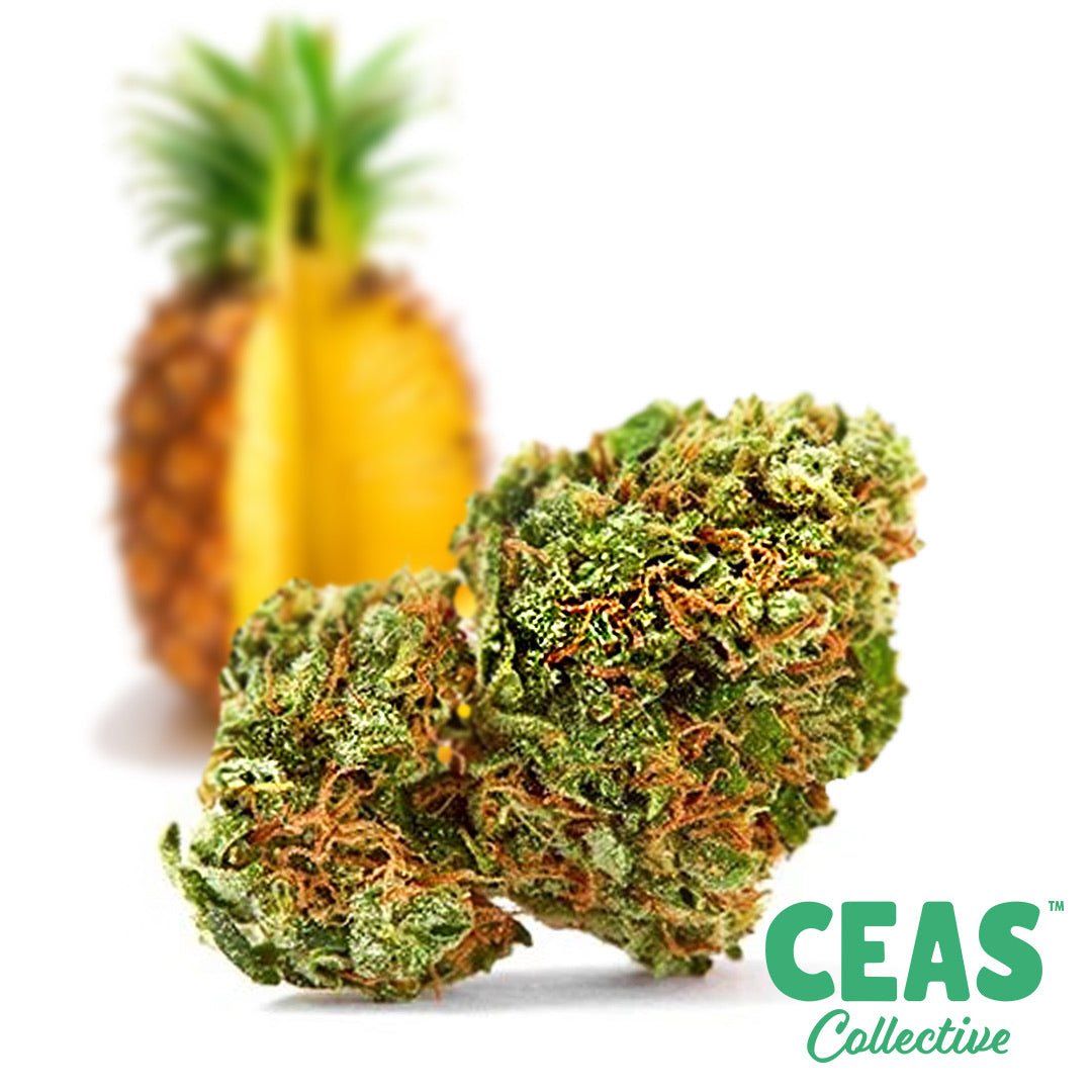 Pineapple Kush CEAS