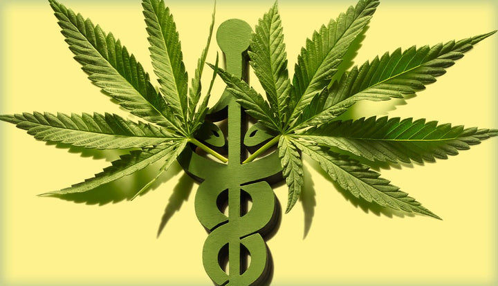 Medical Cannabis: The Most Revolutionary Medical Treatment of Our Time