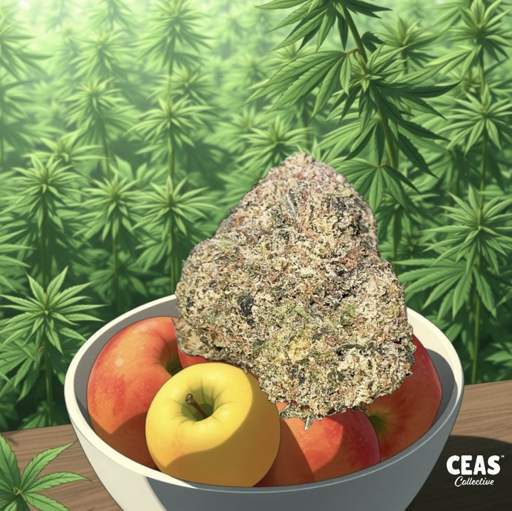 Why You Should Try the Apple Fritter Strain and Order it from CEAS Collective