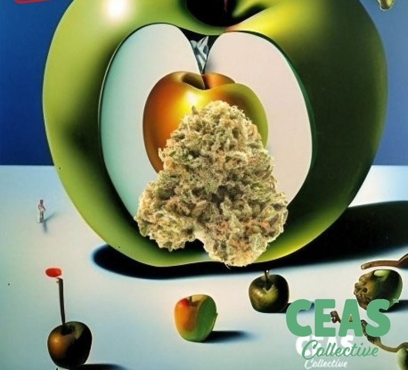 Apple Runtz 7g CEAS for Dispensary Shoppers