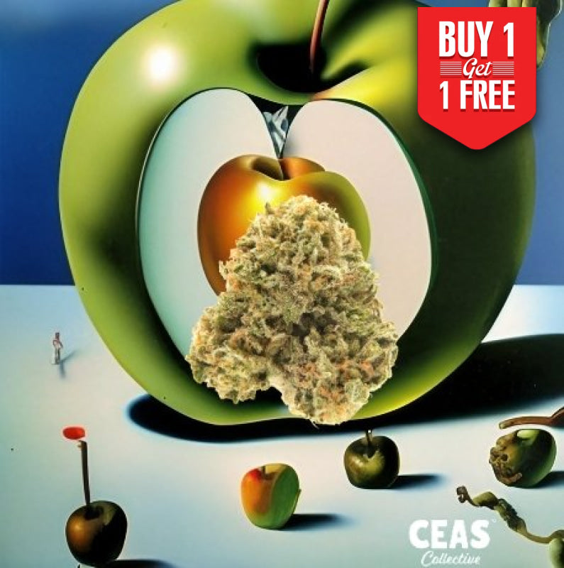 Apple Runtz 7g CEAS for Dispensary Shoppers
