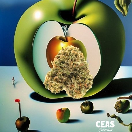 Apple Runtz Weed Strain – An Overview of the Top-Rated Hybrid