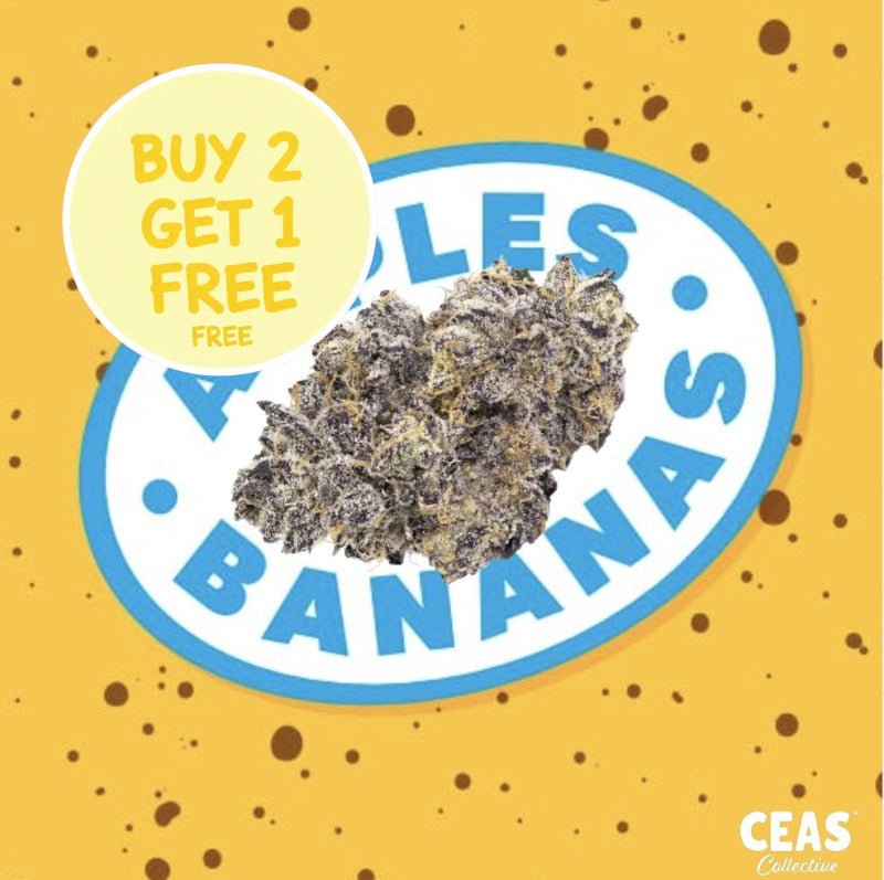 Apples and Bananas Strain: What Strain Is It and Why It’s Gaining Buzz