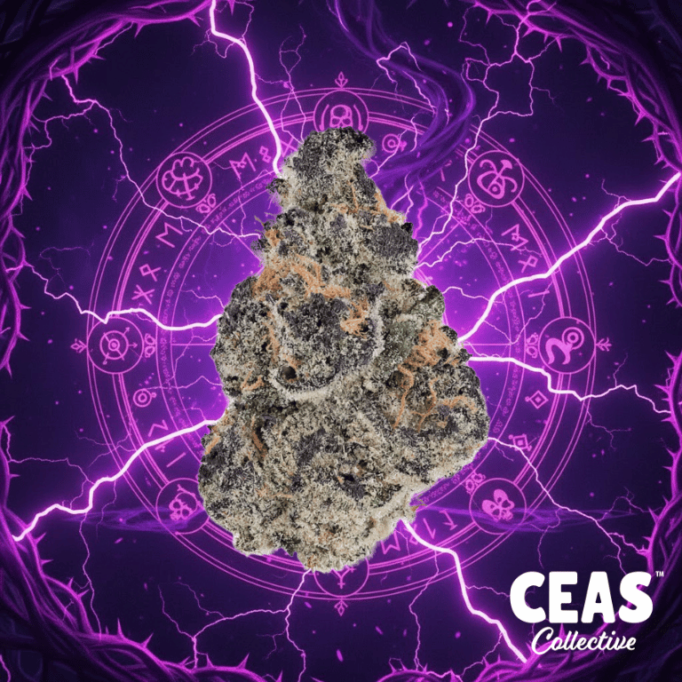 Unleash the Power of Black Magic 7g - CEAS Exotics