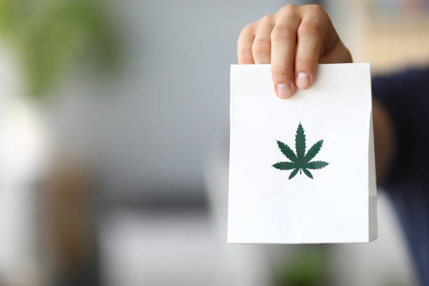 Why Ordering Cannabis Online is the Ultimate East Coast Hack
