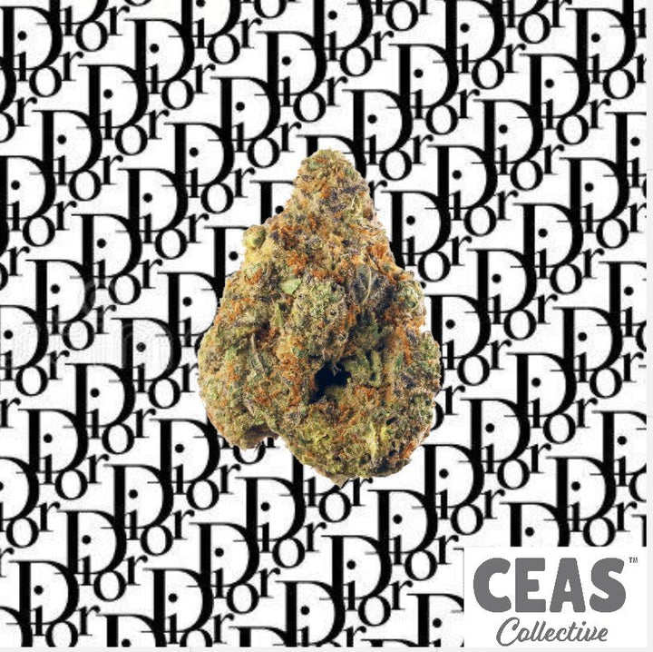 Experience Luxury Like Never Before with Dior, the Premium Hybrid Cannabis Strain from CEAS Collective