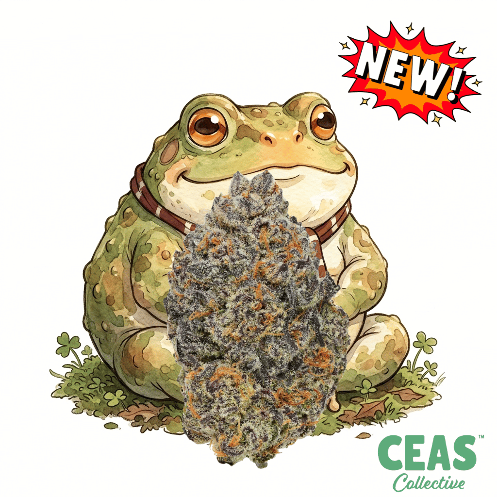 Fat Toad 7g by CEAS Exotics: Strain Review, Effects & Flavor Guide