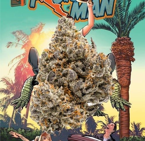 Florida Man: The Ultimate Indica Experience