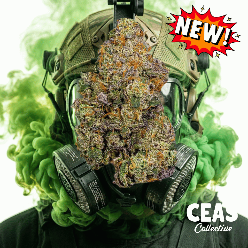 Gas Face Strain: Everything We Know About This 31% THC Indica-Hybrid