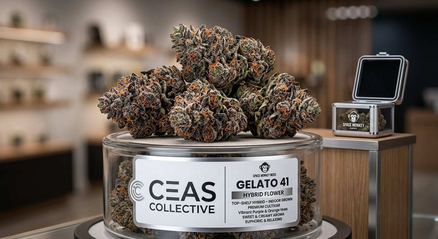 Is Gelato 41 Indica or Sativa? THC, Blue Gelato & More