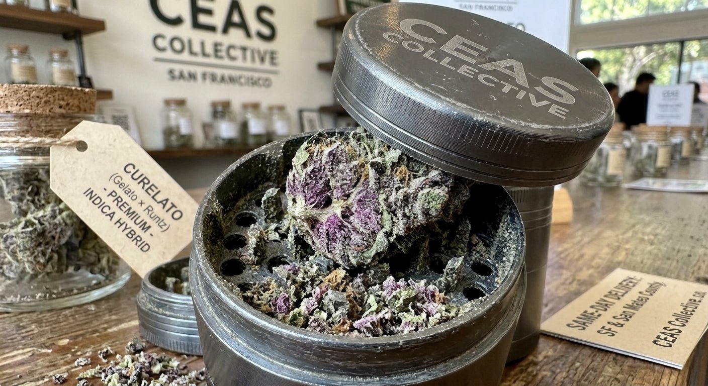 Curelato Strain: Is It Indica or Sativa?
