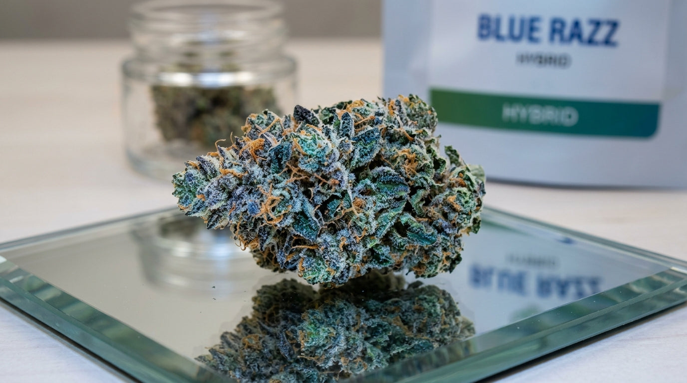 Blue Razz Strain: A Comprehensive Guide to Its Unique Characteristics