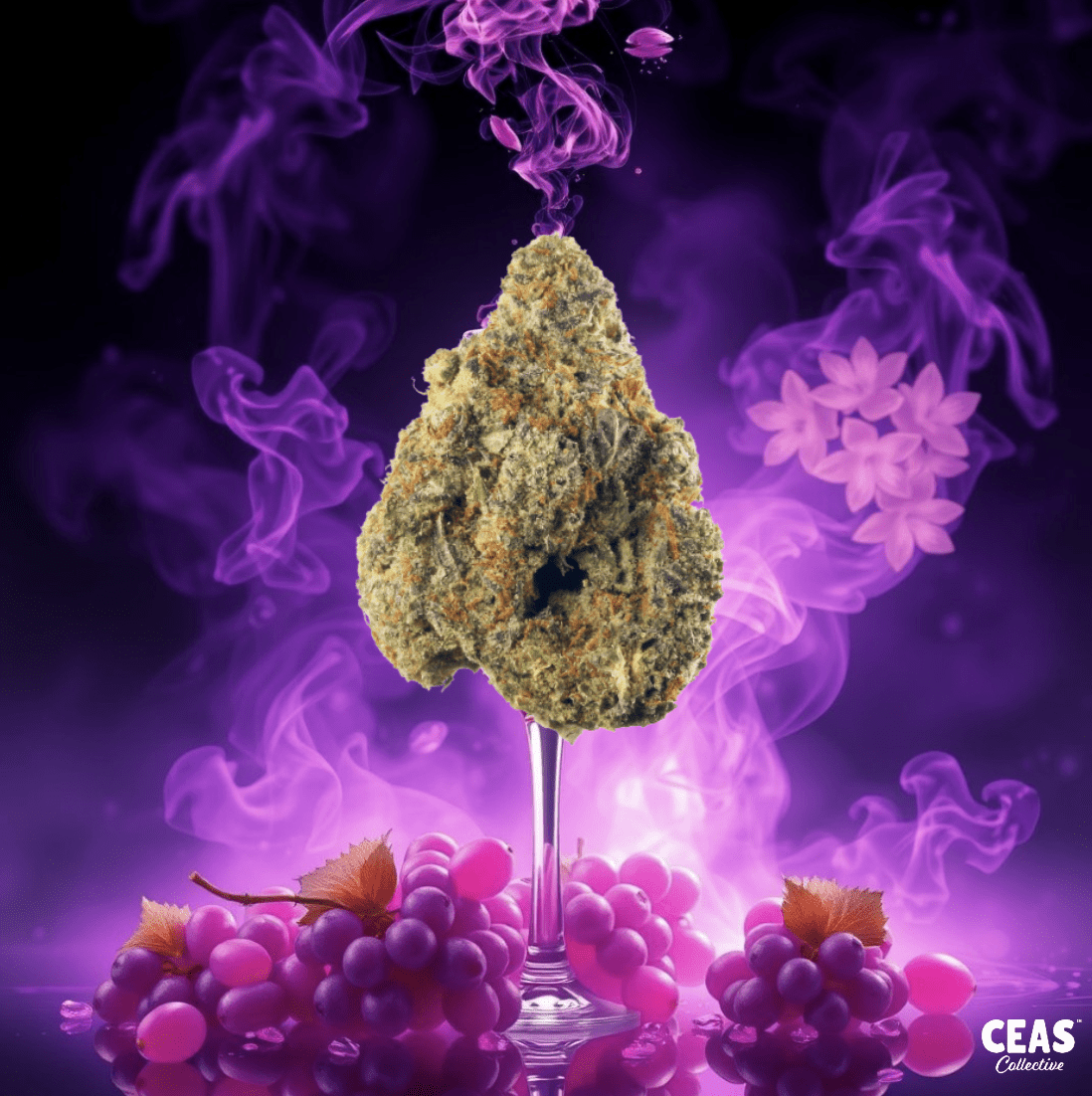 Grape Champagne 7g - CEAS Exotics: The Ultimate Cannabis Experience