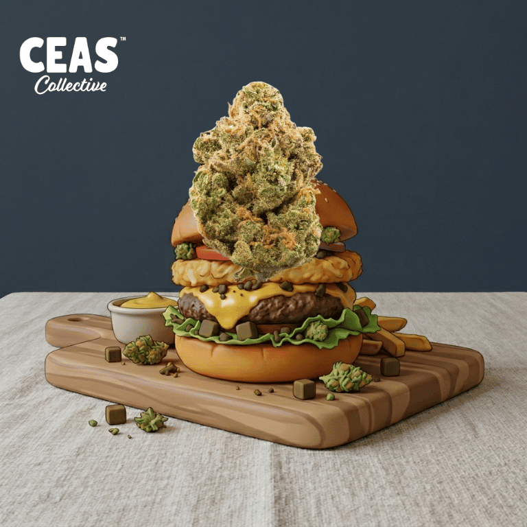 What Is the Hash Burger Strain? A Complete Review
