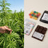 A split comparison showing hemp plants and legal THC edibles with compliance labels.