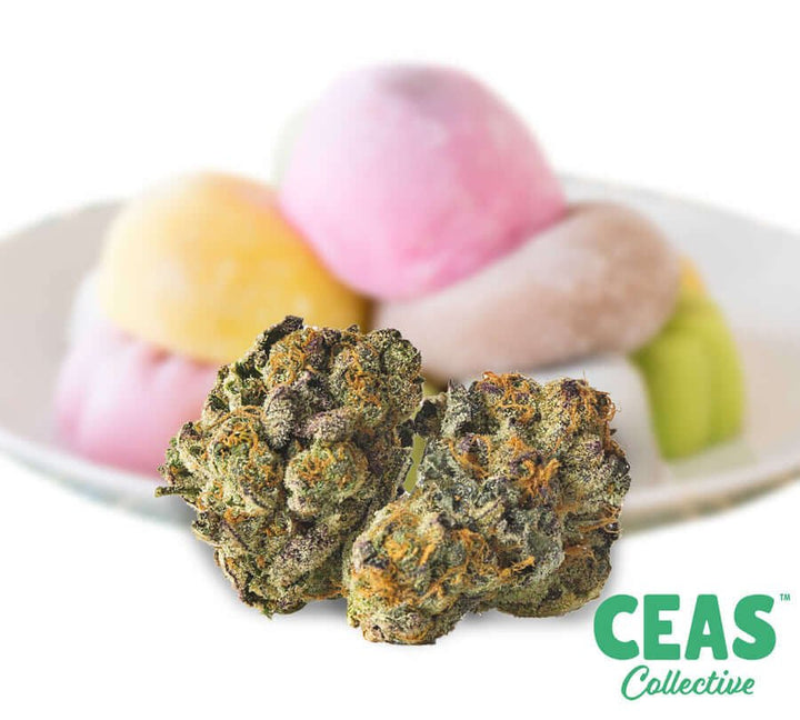 Lemon Cherry Gelato: A Sweet and Balanced Cannabis Experience