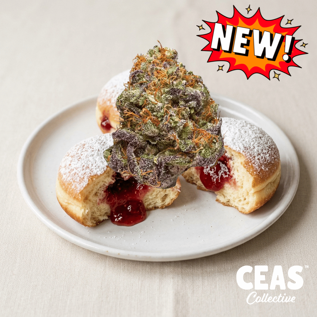 Jelly Donutz Strain: Effects, Review & Where to Buy
