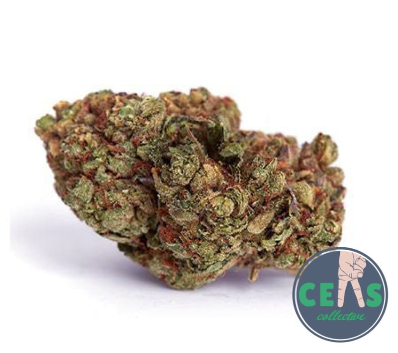 OG Kush: The Legendary Strain That Defined Modern Cannabis Culture