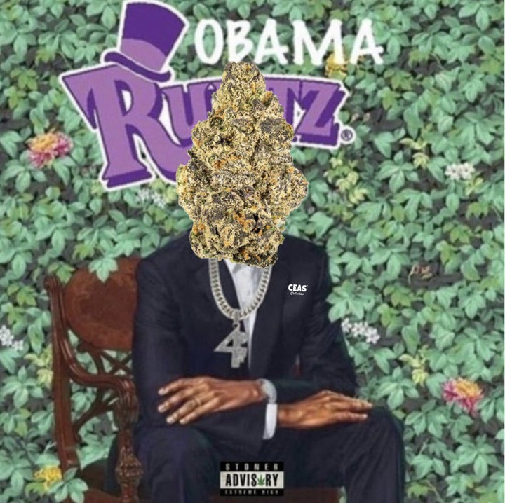 Obama Runtz: A Sweet, Relaxing Cannabis Strain