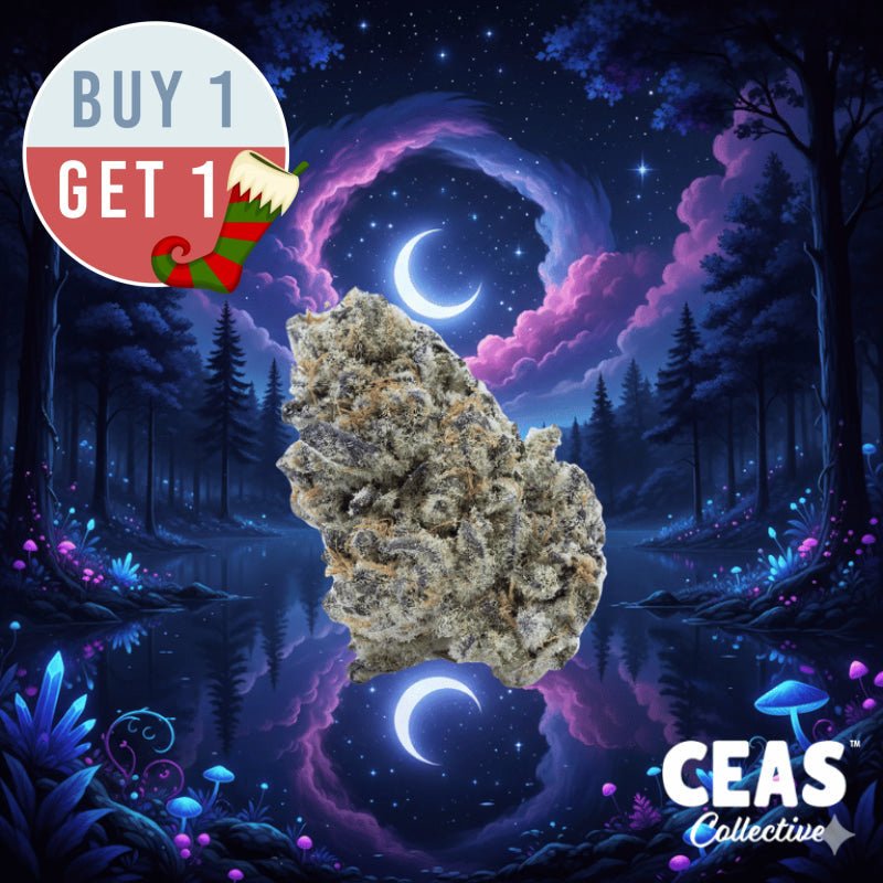 Permanent Midnight: Deep Calm After Dark