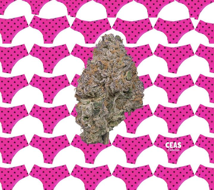 Discover the Pink Panties Strain: Relaxation Delivered Right to Your Door with CEAS Collective