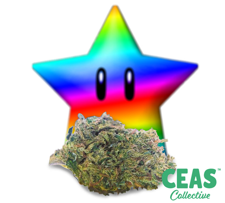 Discover the Magic of the Rainbow Dream Strain