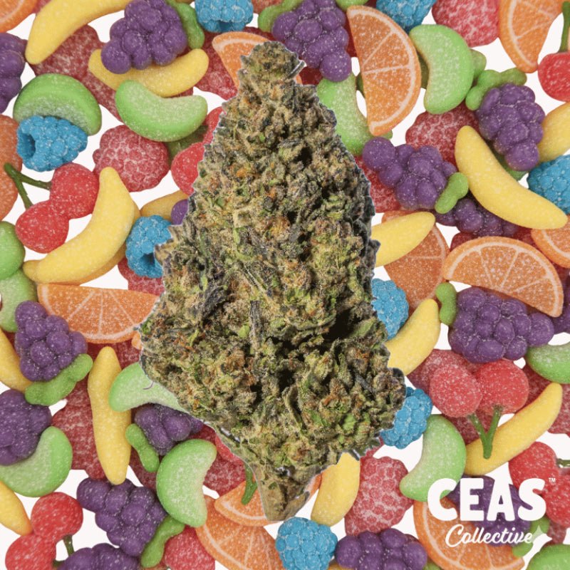 Super Runtz: Amplified Sweetness, Familiar Balance