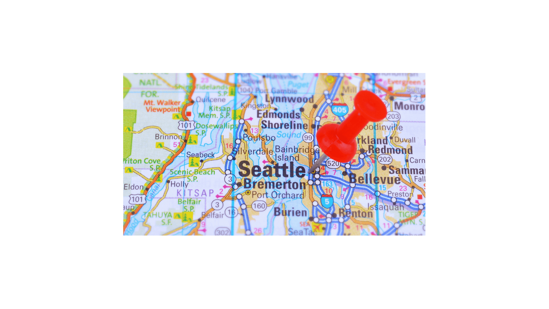 Buy Weed Online Delivery in Seattle: What You Need to Know