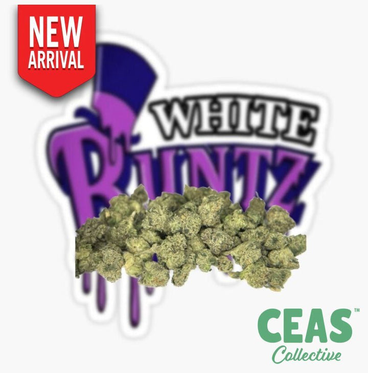 Discover White Runtz CEAS Smalls: The Perfect Cannabis Experience