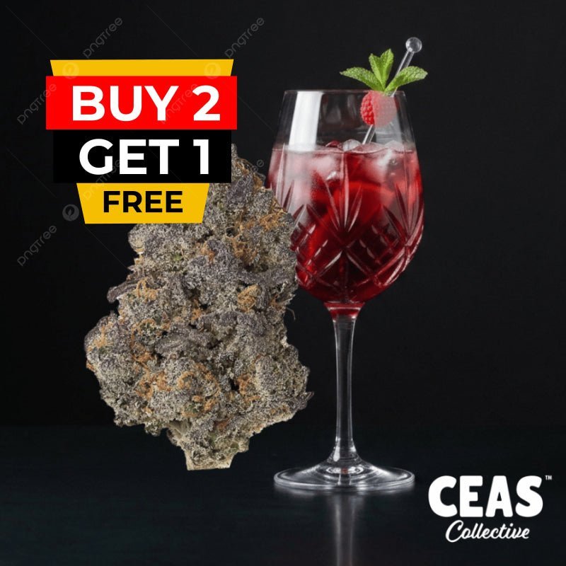 Zangria 7g by CEAS Exotics: Is It Worth Adding to Your Rotation?