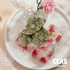 Zoap Strain: What Is It and Why Everyone’s Talking About It