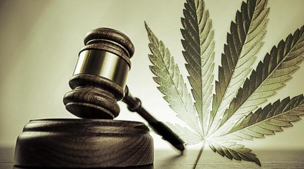 The Criminalization and Decriminalization of Cannabis: The Journey of a Plant