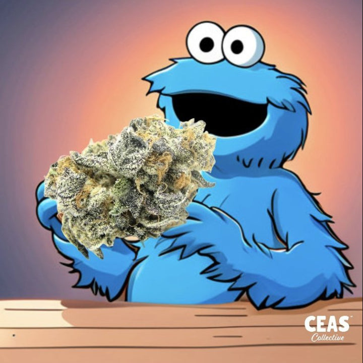 Discover the Magic of Blue Cookies