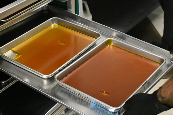 Cannabis concentrate setting in pans