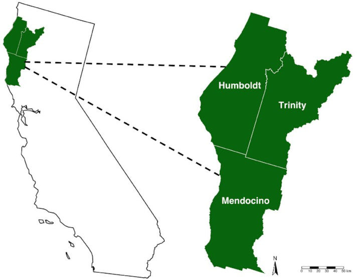 The Emerald Triangle: A Brief History