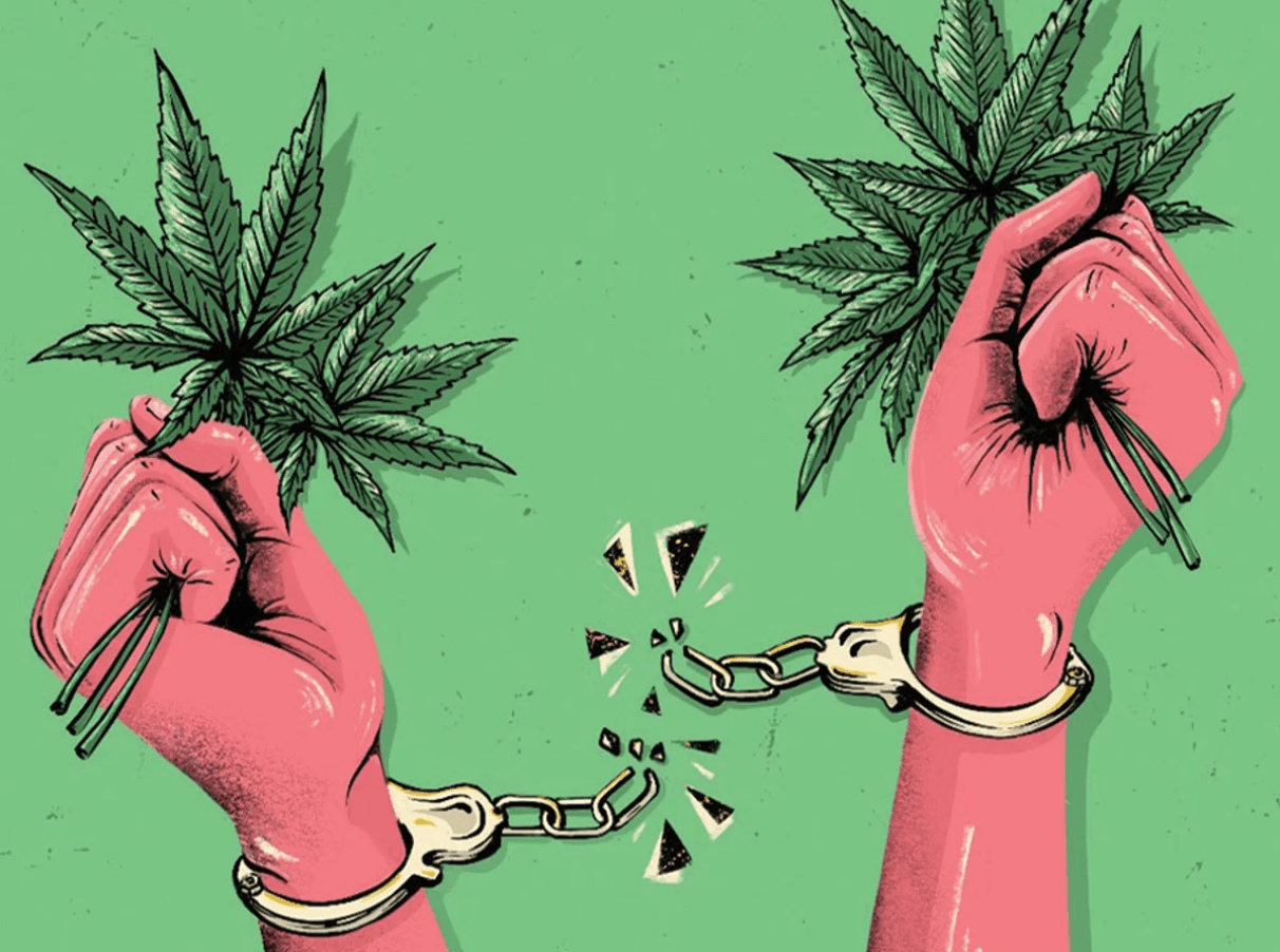 Cannabis Rescheduling: Impact on Research and Business