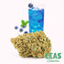 Everything You Need to Know About Lucy Blue - A Sativa Cannabis Strain